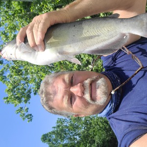 Image #7328 from GreatAnglers.com Image #7328 from GreatAnglers.com