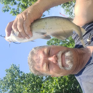 Image #7332 from GreatAnglers.com Image #7332 from GreatAnglers.com