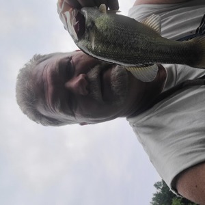 Image #7349 from GreatAnglers.com Image #7349 from GreatAnglers.com