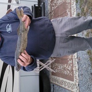 Image #7354 from GreatAnglers.com Image #7354 from GreatAnglers.com
