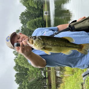 Image #7381 from GreatAnglers.com Image #7381 from GreatAnglers.com