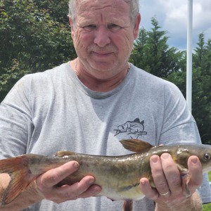 Image #7435 from GreatAnglers.com Image #7435 from GreatAnglers.com