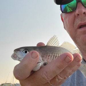 Image #7463 from GreatAnglers.com Image #7463 from GreatAnglers.com