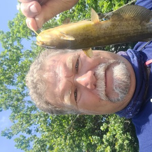 Image #7476 from GreatAnglers.com Image #7476 from GreatAnglers.com