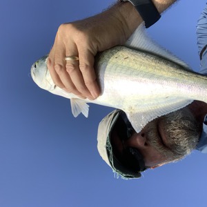 Image #7668 from GreatAnglers.com Image #7668 from GreatAnglers.com