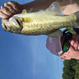 Image #7683 from GreatAnglers.com Image #7683 from GreatAnglers.com