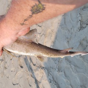 Image #7713 from GreatAnglers.com Image #7713 from GreatAnglers.com