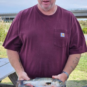 Image #7742 from GreatAnglers.com Image #7742 from GreatAnglers.com