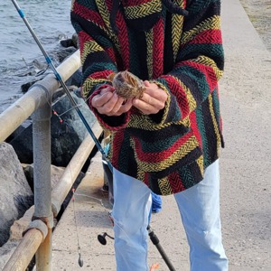 Image #7744 from GreatAnglers.com Image #7744 from GreatAnglers.com