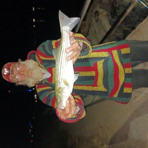Image #7745 from GreatAnglers.com Image #7745 from GreatAnglers.com