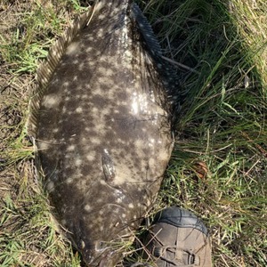 Image #7763 from GreatAnglers.com Image #7763 from GreatAnglers.com