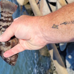 Image #7794 from GreatAnglers.com Image #7794 from GreatAnglers.com