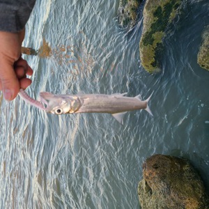 Image #7801 from GreatAnglers.com Image #7801 from GreatAnglers.com