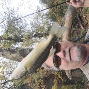Image #7803 from GreatAnglers.com Image #7803 from GreatAnglers.com