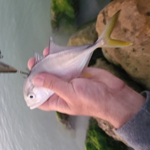 Image #7806 from GreatAnglers.com Image #7806 from GreatAnglers.com