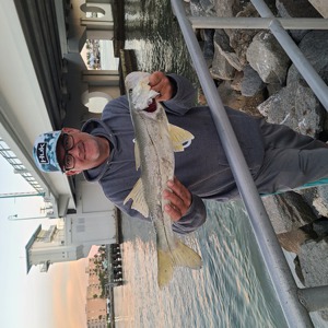 Image #7807 from GreatAnglers.com Image #7807 from GreatAnglers.com