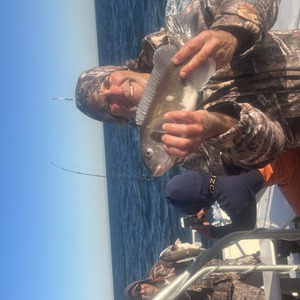 Image #7857 from GreatAnglers.com Image #7857 from GreatAnglers.com