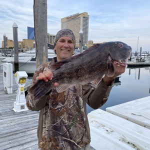 Image #7944 from GreatAnglers.com Image #7944 from GreatAnglers.com