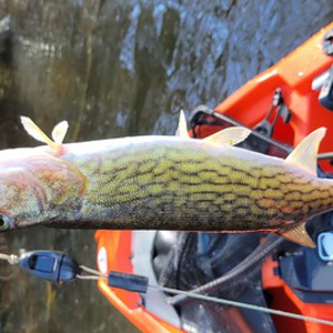Image #7975 from GreatAnglers.com Image #7975 from GreatAnglers.com