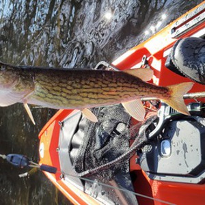 Image #7976 from GreatAnglers.com Image #7976 from GreatAnglers.com