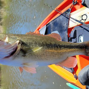 Image #8010 from GreatAnglers.com Image #8010 from GreatAnglers.com