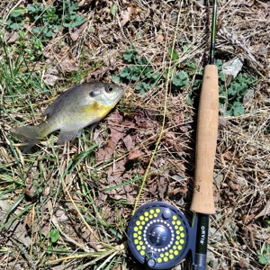 Image #8017 from GreatAnglers.com Image #8017 from GreatAnglers.com