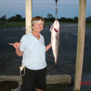 Image #803 from GreatAnglers.com Image #803 from GreatAnglers.com