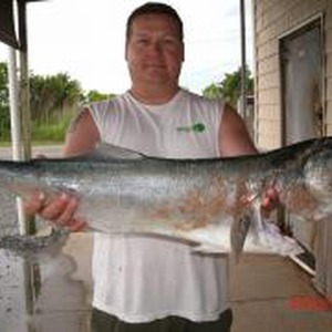 Image #807 from GreatAnglers.com Image #807 from GreatAnglers.com