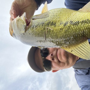Image #8096 from GreatAnglers.com Image #8096 from GreatAnglers.com