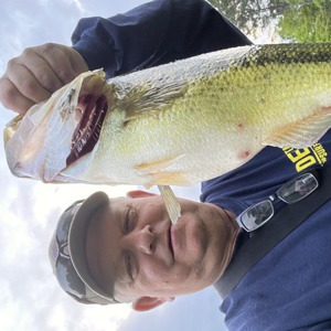 Image #8099 from GreatAnglers.com Image #8099 from GreatAnglers.com