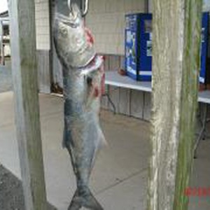 Image #810 from GreatAnglers.com Image #810 from GreatAnglers.com