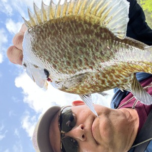 Image #8103 from GreatAnglers.com Image #8103 from GreatAnglers.com