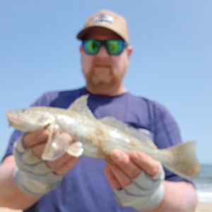 Image #8144 from GreatAnglers.com Image #8144 from GreatAnglers.com
