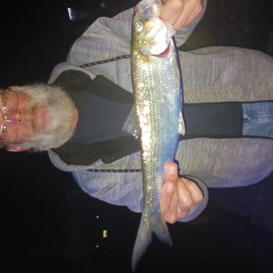Image #8155 from GreatAnglers.com Image #8155 from GreatAnglers.com