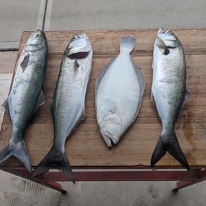 Image #8206 from GreatAnglers.com Image #8206 from GreatAnglers.com