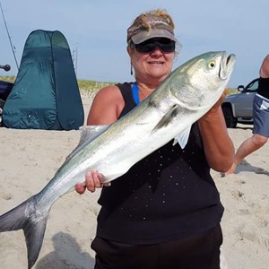 Image #831 from GreatAnglers.com Image #831 from GreatAnglers.com