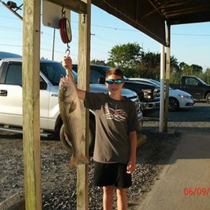 Image #833 from GreatAnglers.com Image #833 from GreatAnglers.com