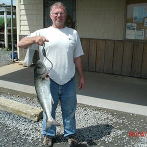 Image #834 from GreatAnglers.com Image #834 from GreatAnglers.com