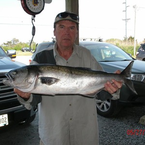 Image #839 from GreatAnglers.com Image #839 from GreatAnglers.com