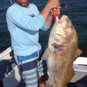 Image #841 from GreatAnglers.com Image #841 from GreatAnglers.com
