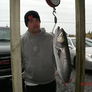 Image #858 from GreatAnglers.com Image #858 from GreatAnglers.com