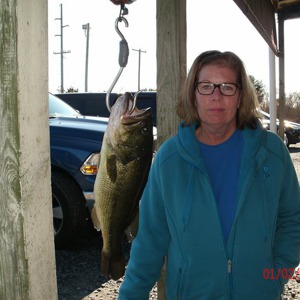 Image #865 from GreatAnglers.com Image #865 from GreatAnglers.com