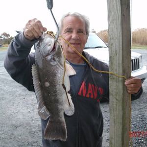 Image #866 from GreatAnglers.com Image #866 from GreatAnglers.com