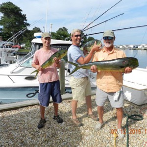 Image #881 from GreatAnglers.com Image #881 from GreatAnglers.com