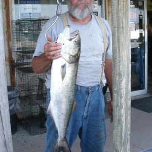 Image #898 from GreatAnglers.com Image #898 from GreatAnglers.com