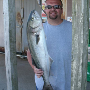 Image #902 from GreatAnglers.com Image #902 from GreatAnglers.com