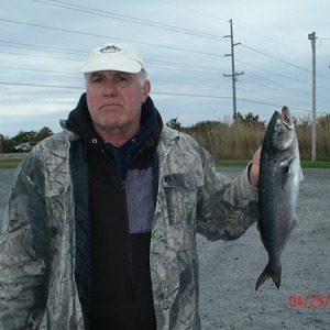 Image #917 from GreatAnglers.com Image #917 from GreatAnglers.com