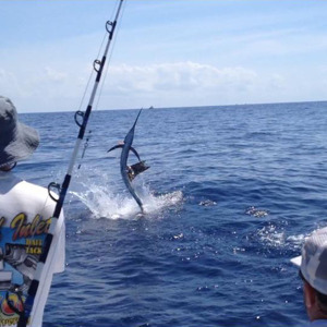 Image #922 from GreatAnglers.com Image #922 from GreatAnglers.com